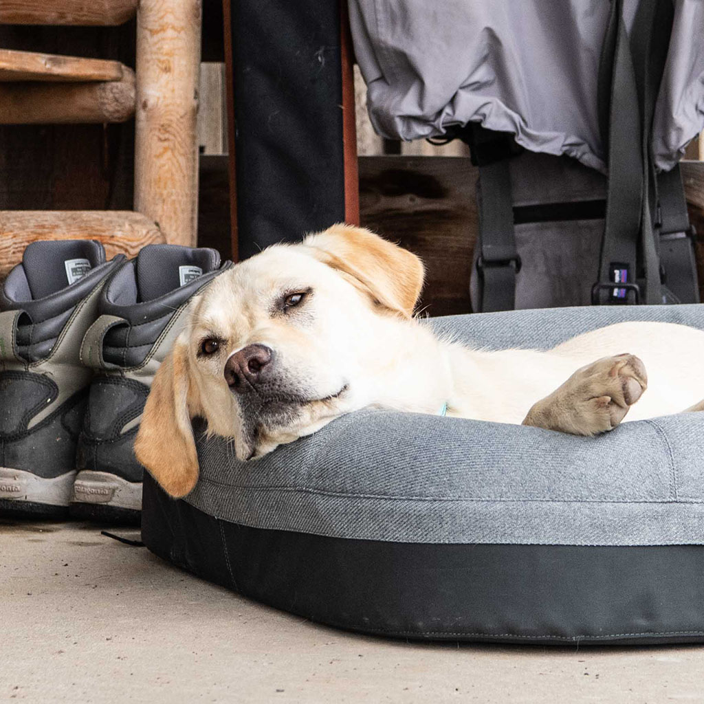 yeti trailhead dog bed