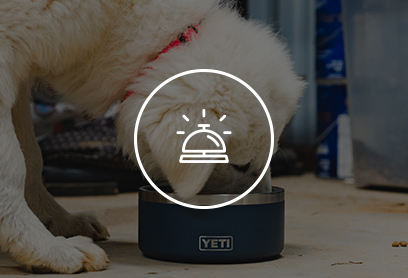 Yeti bulk order discount