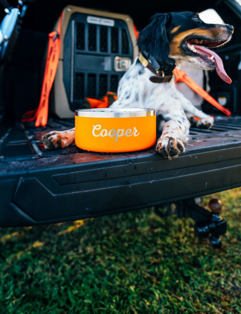 Yeti dog bowl custom best sale