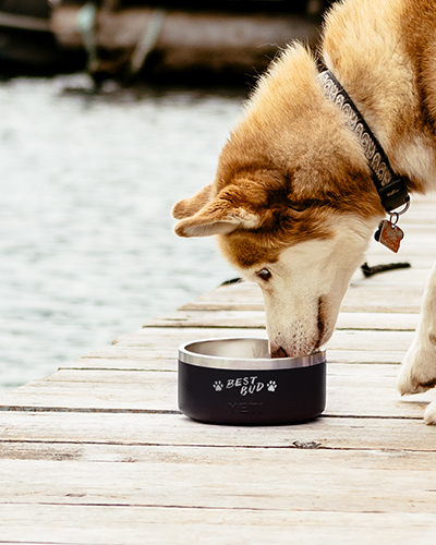 YETI Custom Dog Bowls