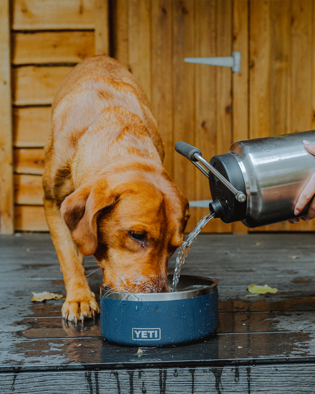 YETI Dog Gear Dog Beds Dog Bowls