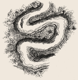 snake river